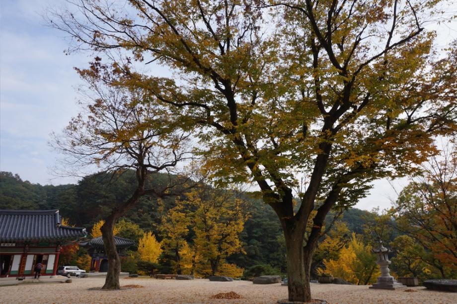 香泉寺 8