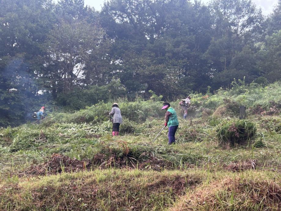 6.덕산면 무연분묘 벌초 향사 (3) 이미지