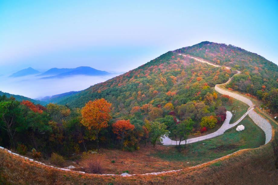 예산군, 올 가을 걷기 좋은 오색단풍 명품숲길 선정! 이미지