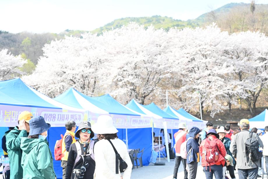 봄맞이 걷기행사 (3) 이미지