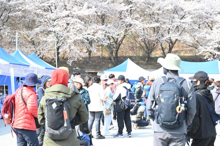 봄맞이 걷기행사 (4) 이미지