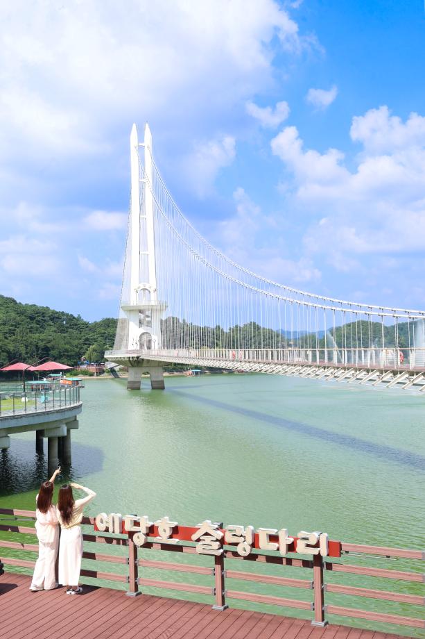 예당호권_예당호 출렁다리 이미지