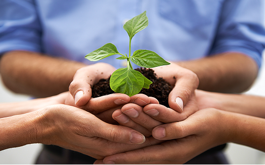 기부(후원)방법 관련 이미지