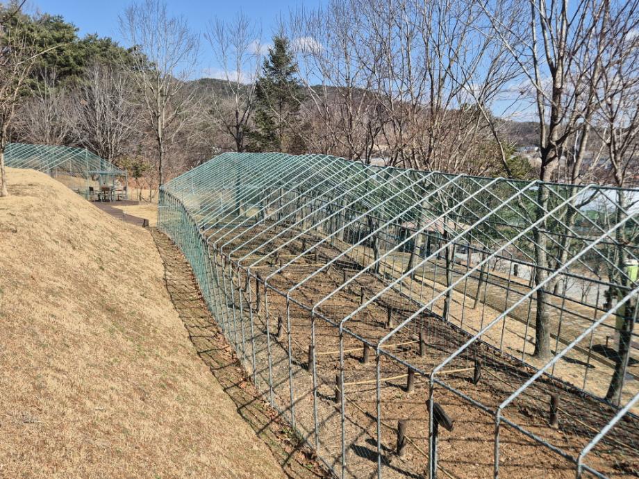 10.삽티공원 텃밭 모습 (1) 이미지