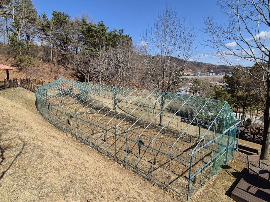 10.삽티공원 텃밭 모습 (2) 이미지