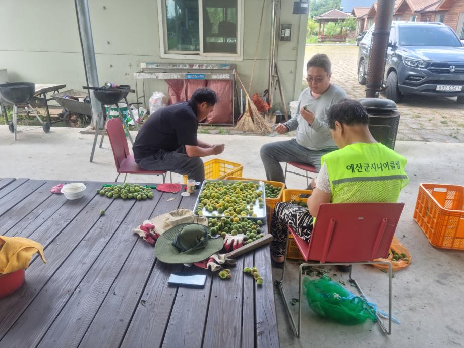 8.살아보기 참가자 영농실습 및 교육 모습 (2) 이미지