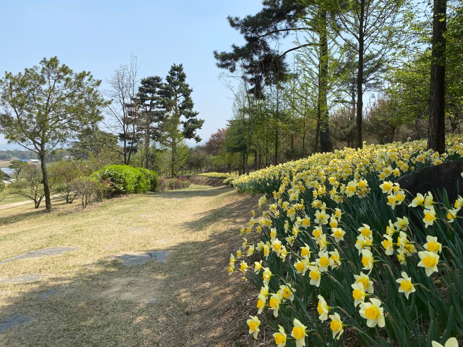 IMG_2133 이미지