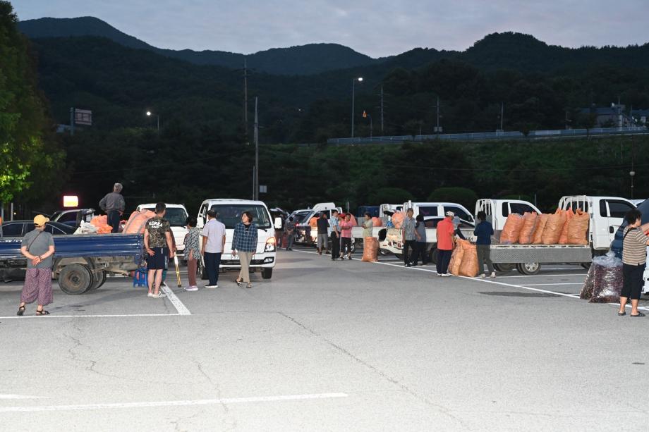 2026년 임시고추시장 개설·운영 (10) 이미지