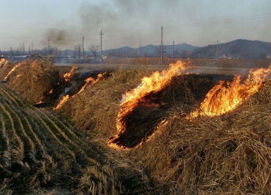 예산군농업기술센터, 봄철 논둑태우기 금지로 환경보전농업 실천! 이미지