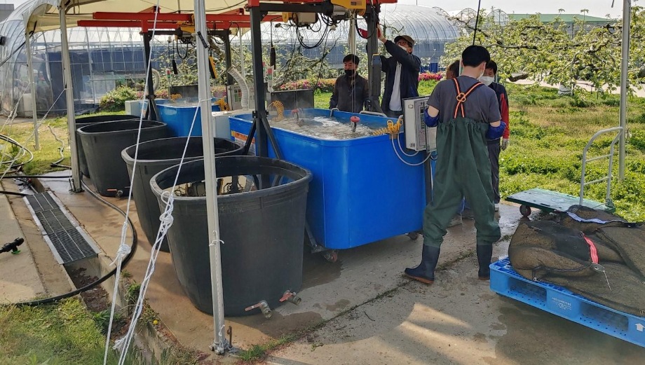 예산군농업기술센터, 벼 키다리병 방제 위한 온탕소독장 설치 운영 이미지