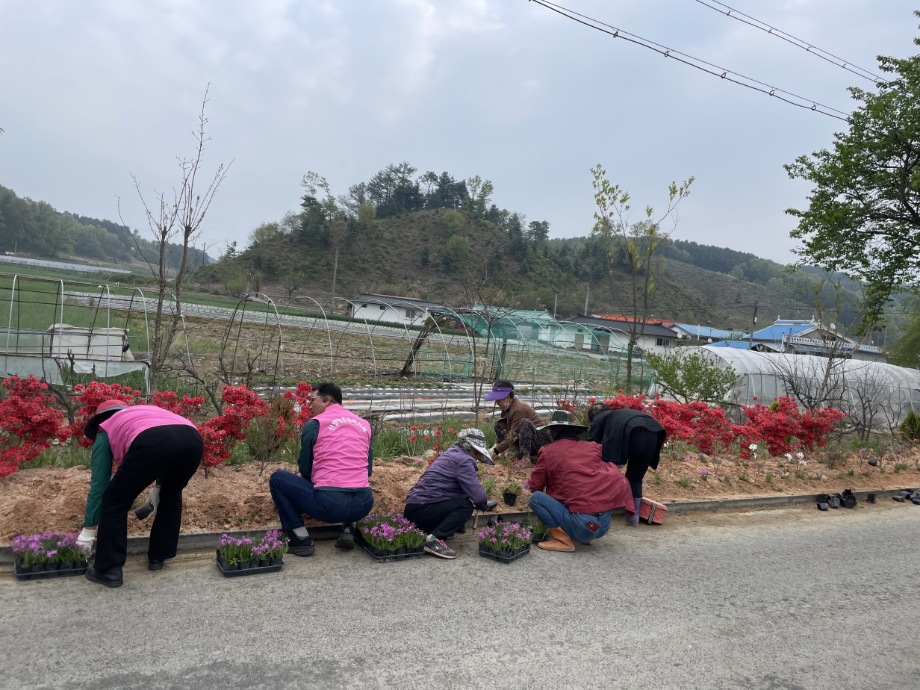 예산군 신양면주민자치회, 마을 꽃 식재 활동 추진 이미지
