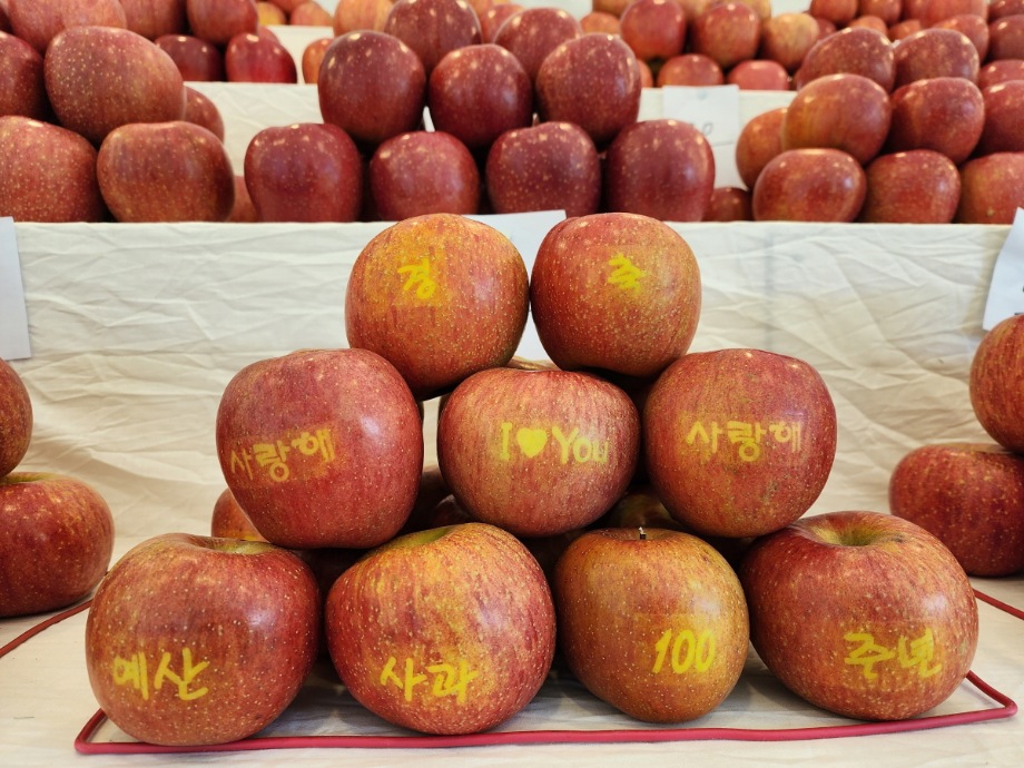 예산군, “최고의 사과·배를 찾아라!” 이미지