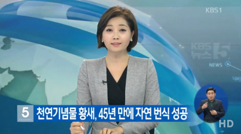 [KBS 5시뉴스] 천연기념물 황새, 45년 만에 자연 번식 성공 이미지