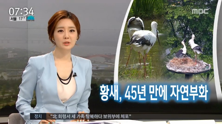 [MBC 뉴스투데이] 한반도 멸종 45년 만에 "황새" 자연부화 성공 이미지