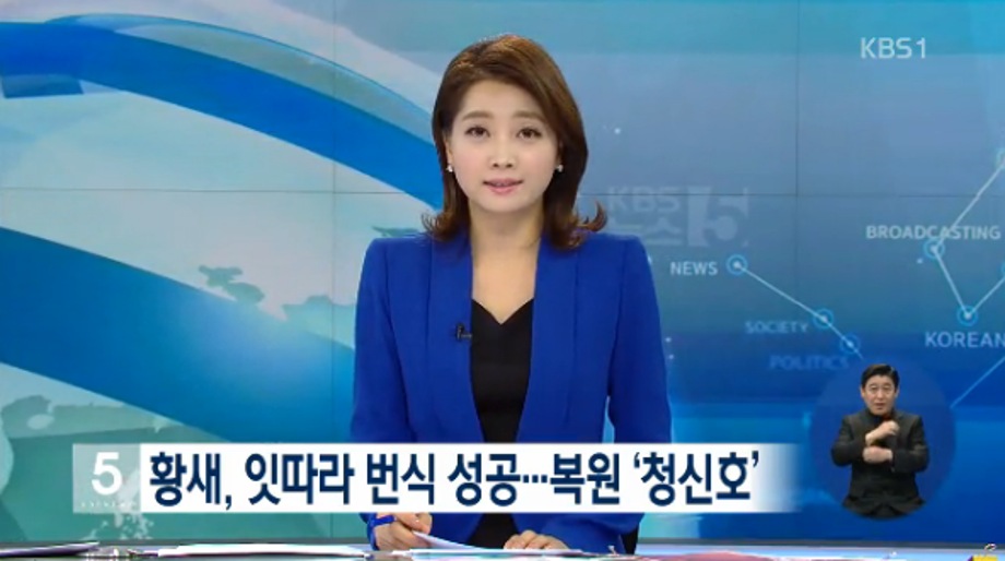 [KBS 뉴스] 황새, 잇따라 번식 성공…복원 ‘청신호’ 이미지