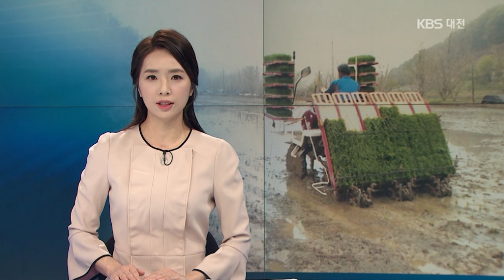 (KBS뉴스)충남 첫 모내기, 예산 광시면 논에서 진행