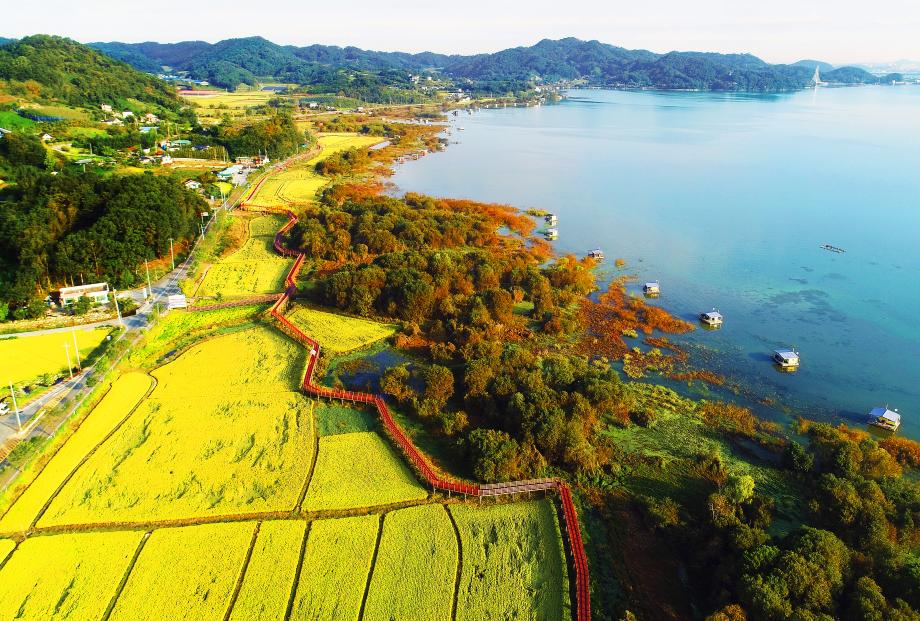 느린호수길(작가 사진1)